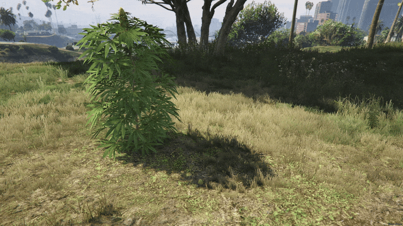 Dynamic Growth Rates