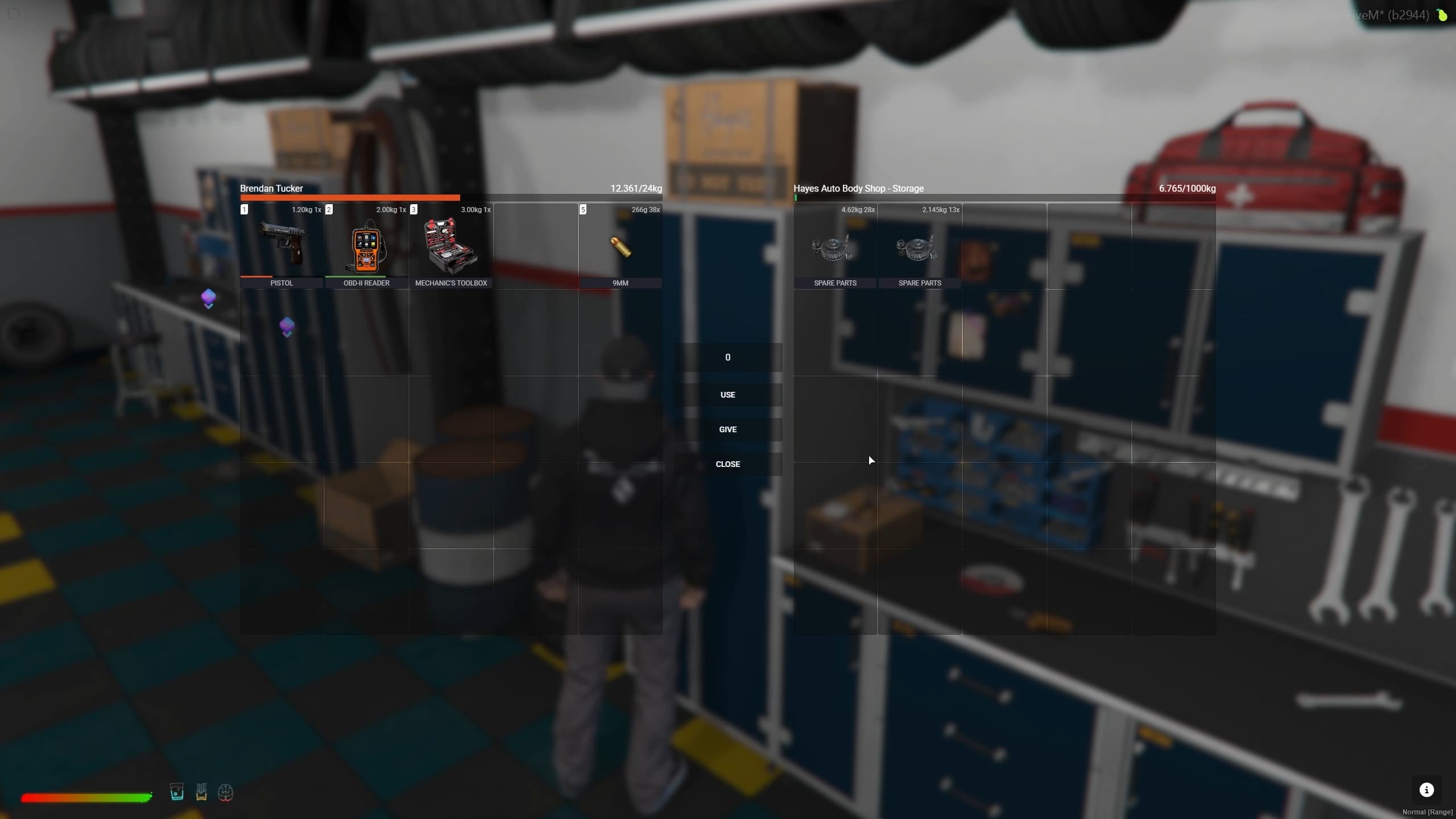 Shop Storage